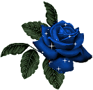 blue rose Pictures, Images and Photos