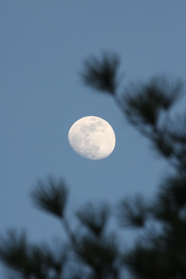 IMAGE: http://i233.photobucket.com/albums/ee117/mdavies_01/IMG_0781.jpg