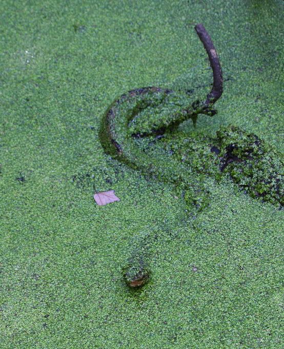 IMAGE: http://i233.photobucket.com/albums/ee117/mdavies_01/IMG_7726.jpg