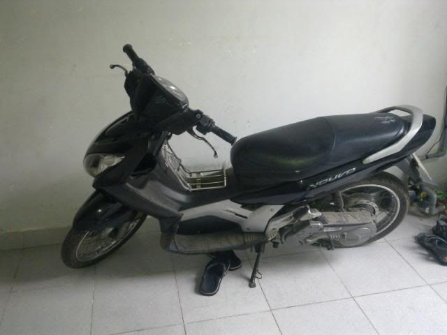 Bán No 2 Zin Zin - 1