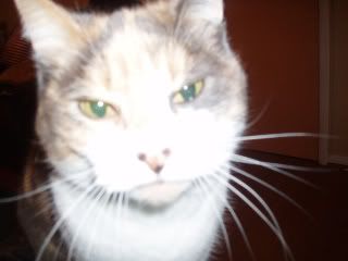 P1010031.jpg