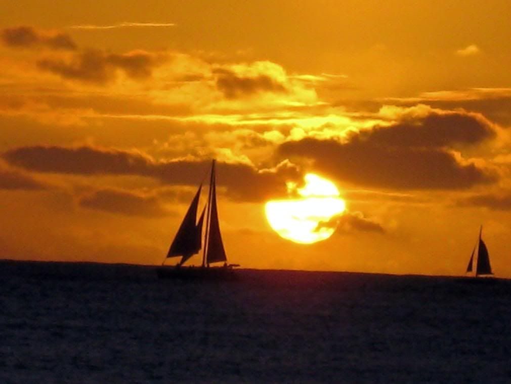 Sunset on the Beach Pictures, Images and Photos