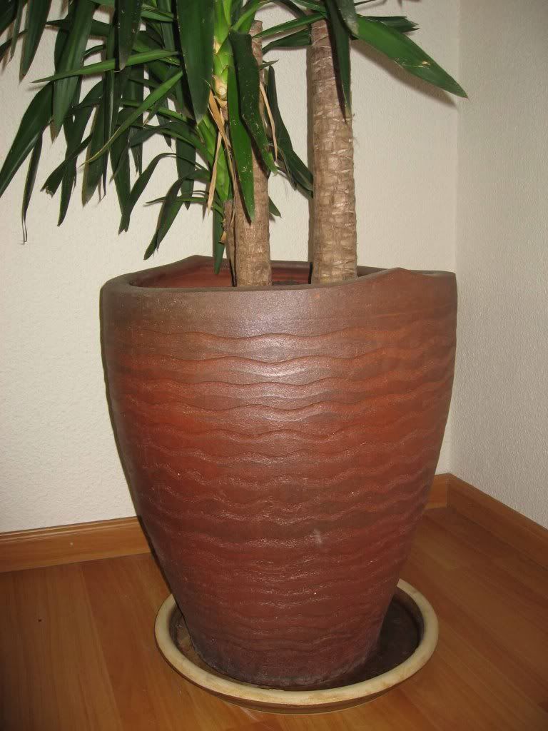 planter2-1.jpg