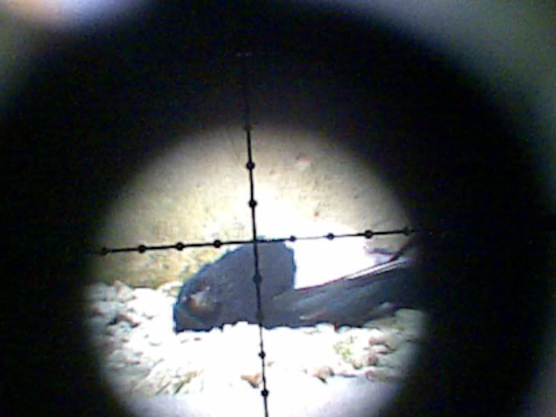 ABCD0001-8.jpg
