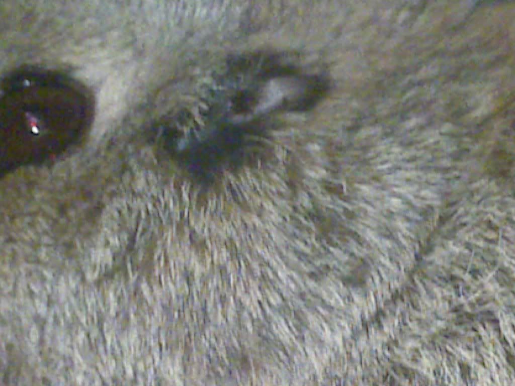 ABCD0008-26.jpg