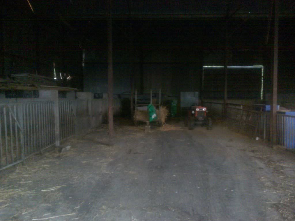 ABCD0020-28.jpg