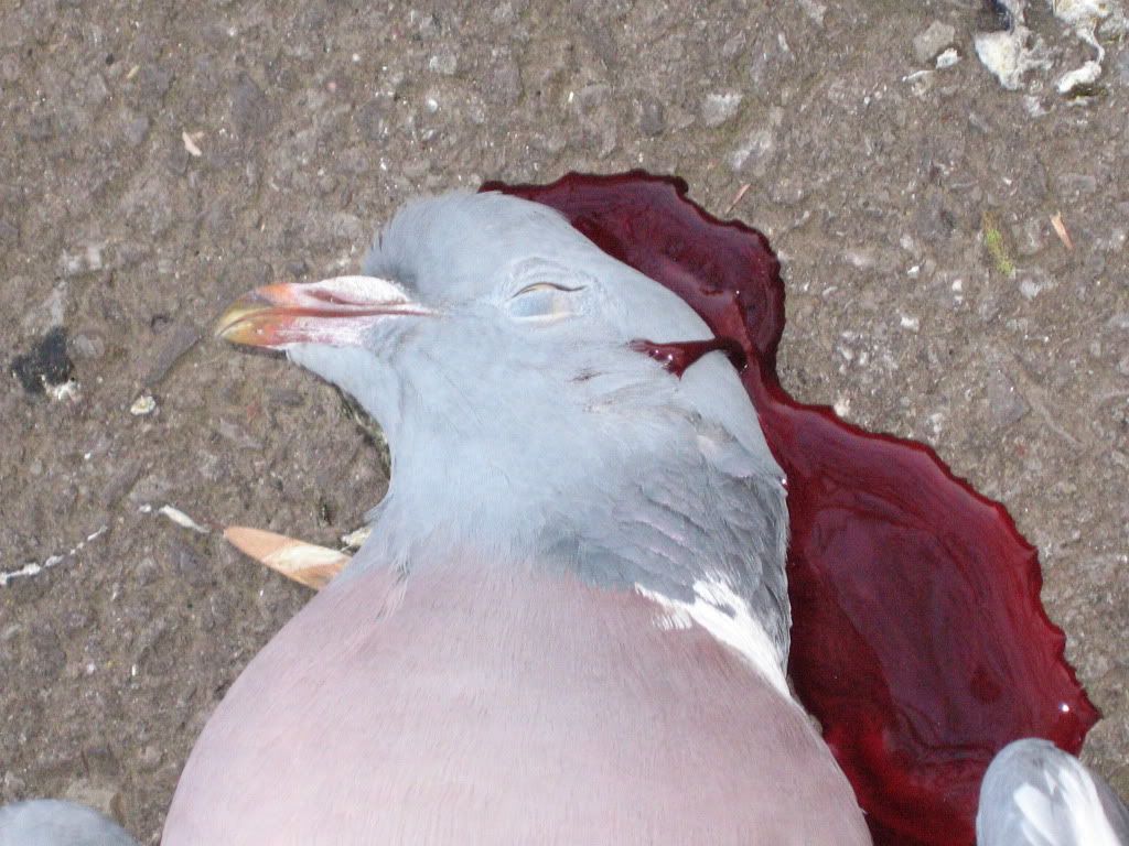IMG_0379.jpg