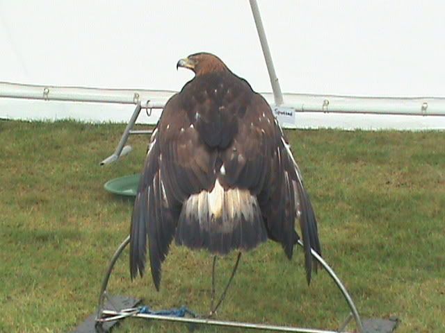 Picture230.jpg