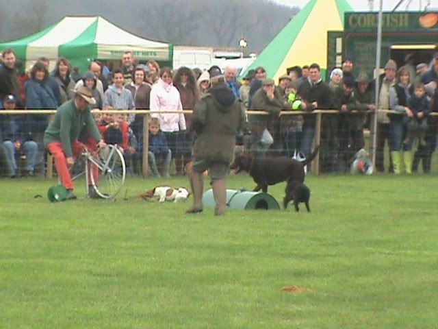 Picture235.jpg