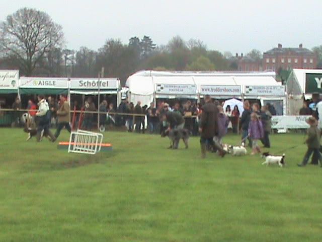 Picture236.jpg