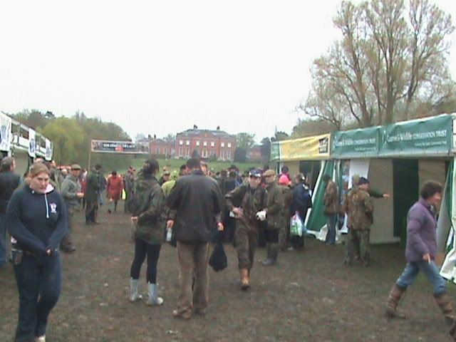 Picture244.jpg