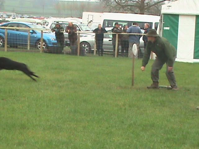 Picture247.jpg