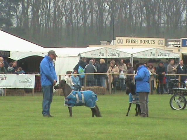 Picture250.jpg