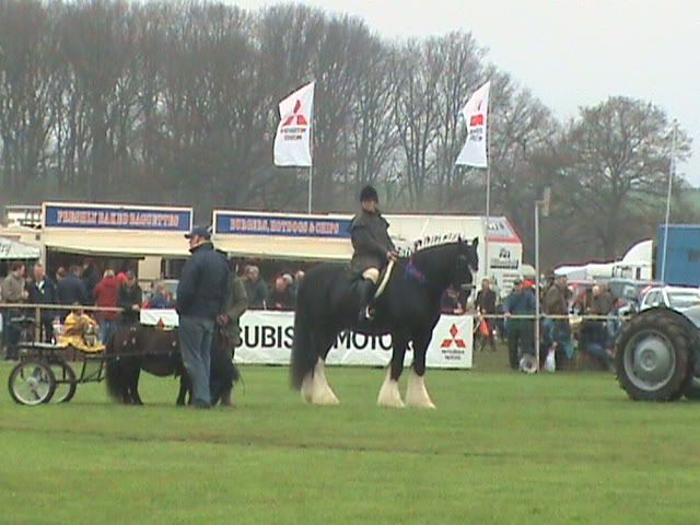 Picture251.jpg