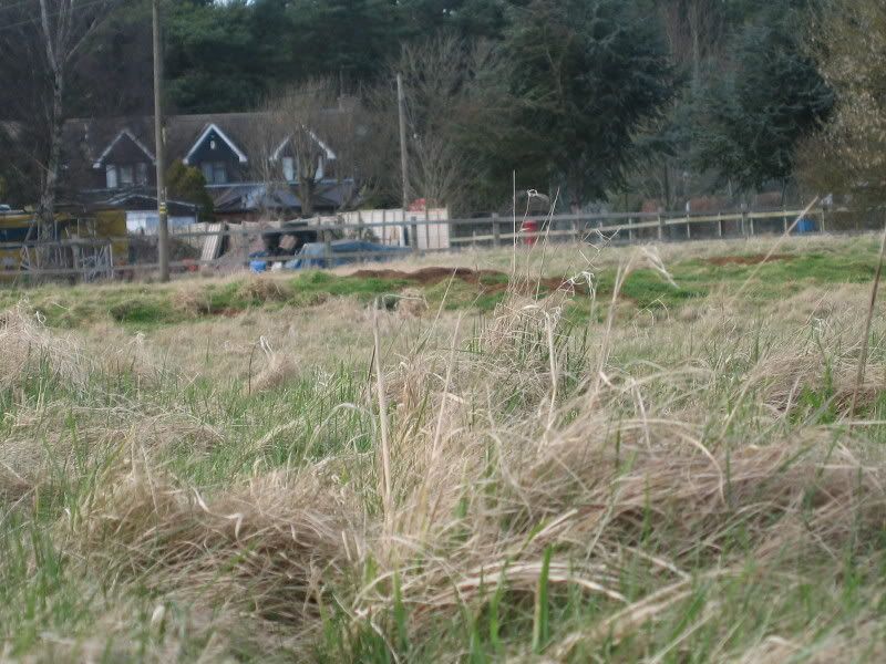 hunting043.jpg