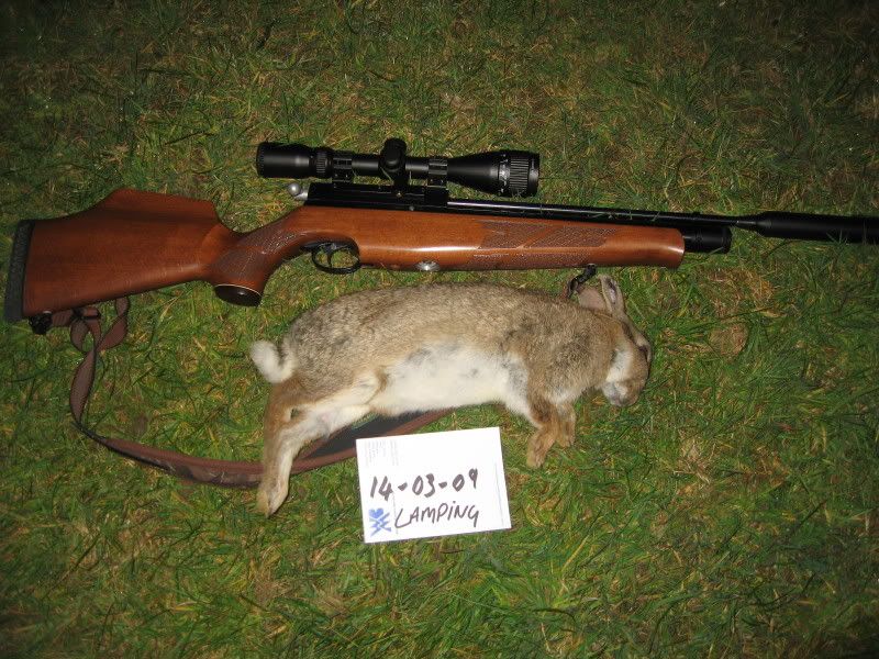 hunting047.jpg