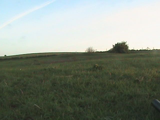 hunting105.jpg