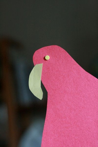 2 eyes and beak — pirate parrot craft mikko m4yo