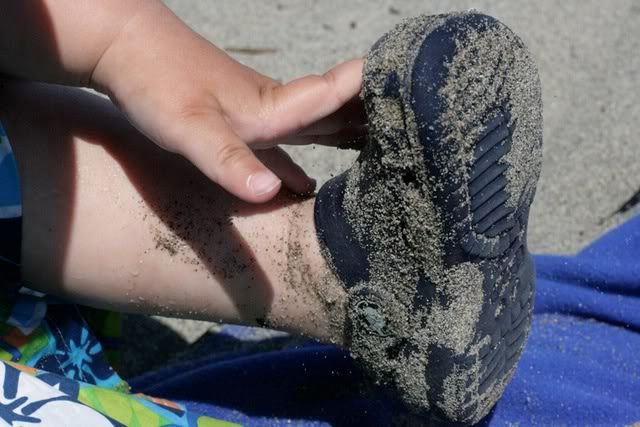 sand encrusting toddler's shoe on beach