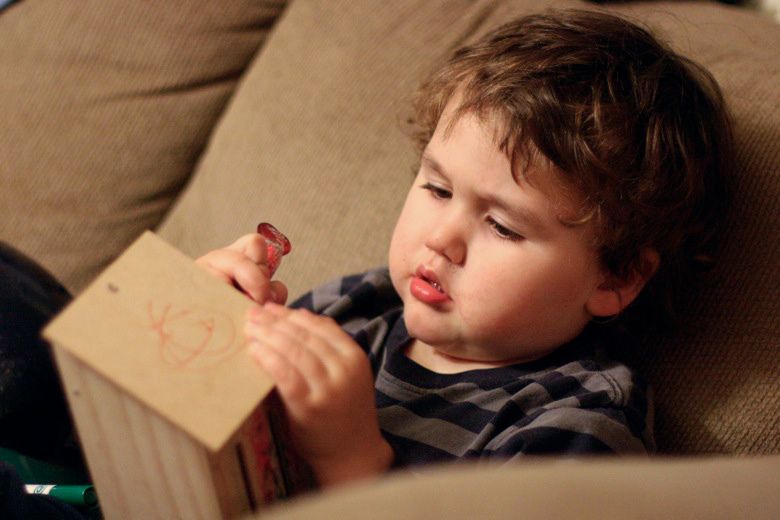building a butterfly house — mikko m3yo — decorate concentration Pictures, Images and Photos