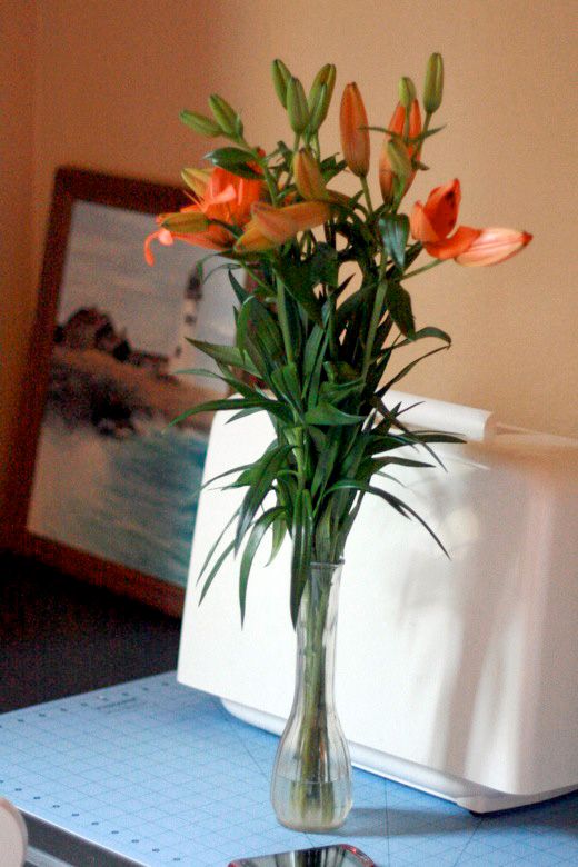 homebirth — flowers for the birth lilies