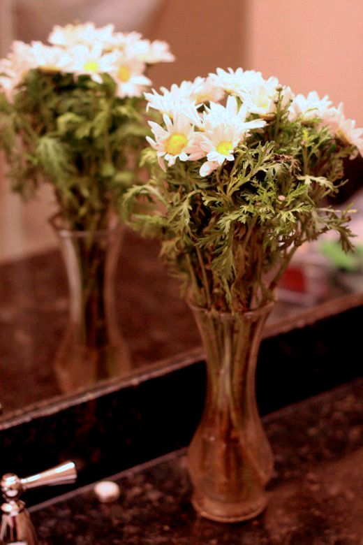 homebirth — flowers for the birth daisies