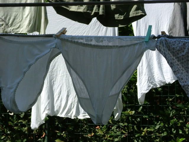 underwear on clothesline