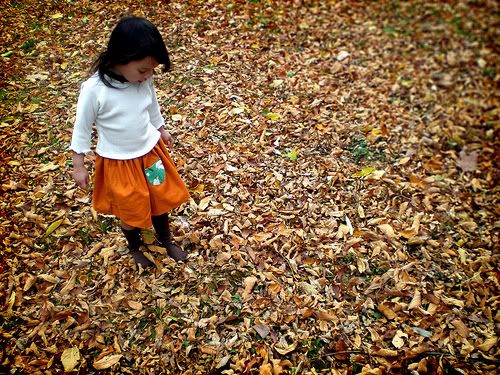 Grosgrain reversible bird seed skirt autumn