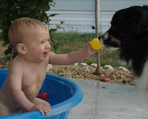 baby sharing toys with dog