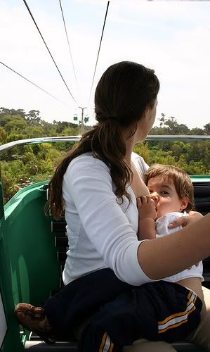 extended breastfeeding in public on a tram