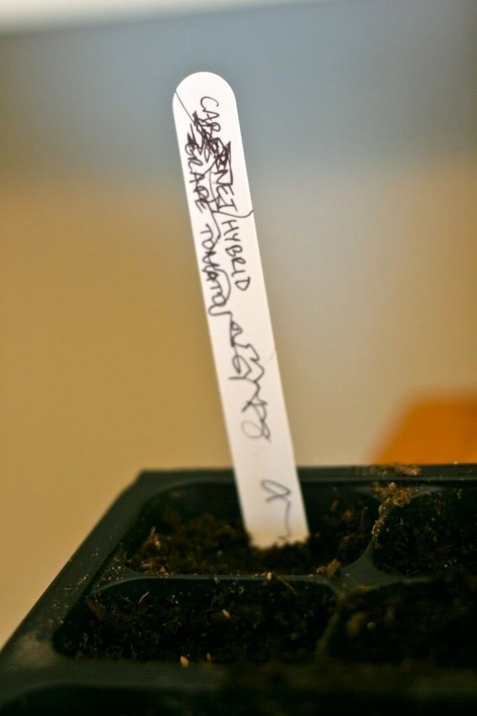 4 written seed plant labels for gardening