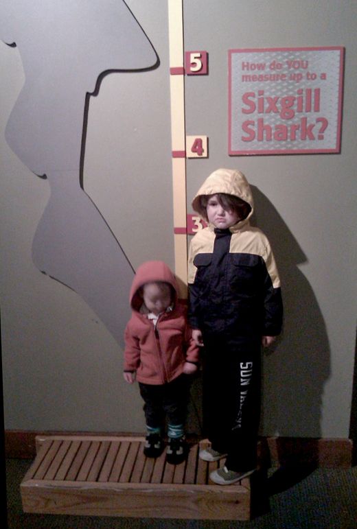 Sunday Surf: Sick days and a giant octopus == Hobo Mama sad sick boys next to sixgill shark sign at the seattle aquarium