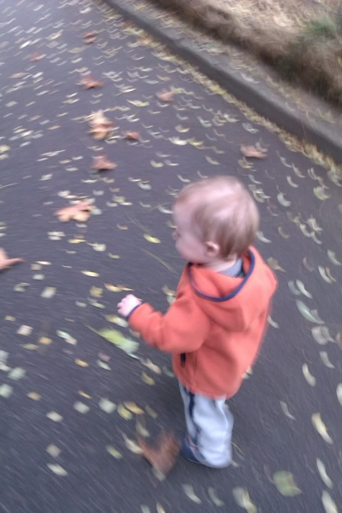 Photo Credit: Hobo Mama baby running through leaves