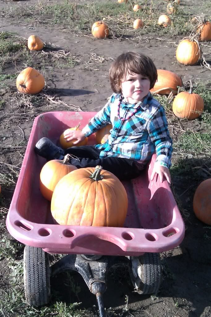 Photo Credit: Hobo Mama Halloween