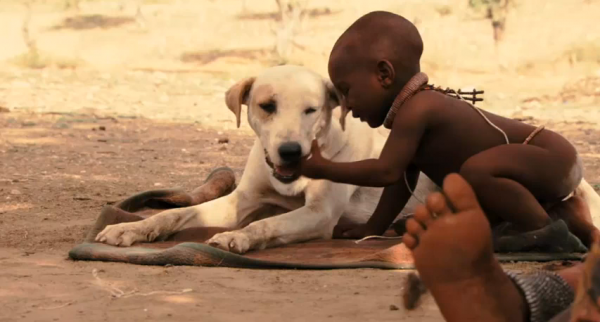 Babies by Thomas Balmes -- Ponijao Namibia playing with dog
