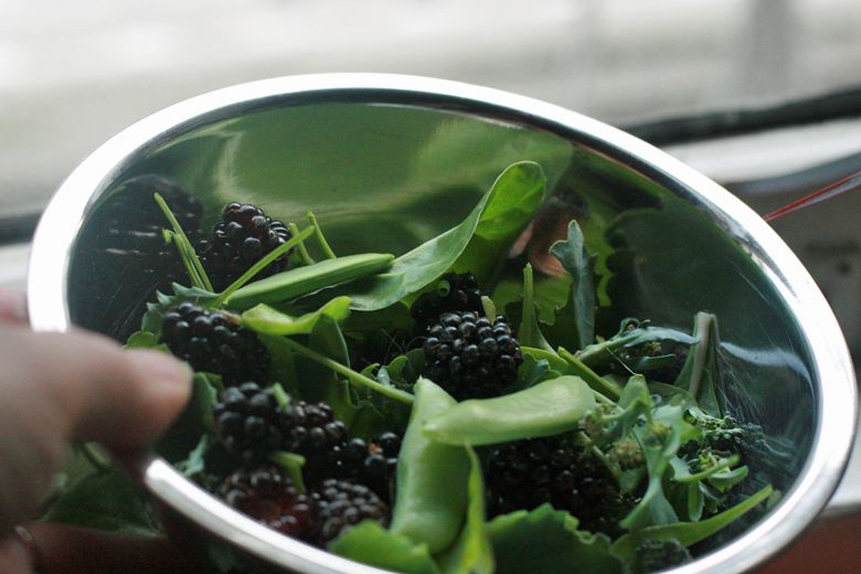 berry and snap pea salad harvested from the patio garden