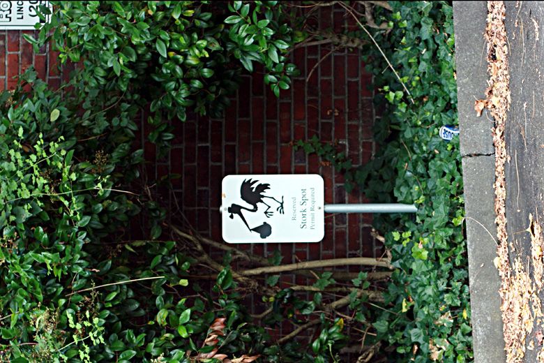 birth — stork parking at hospital