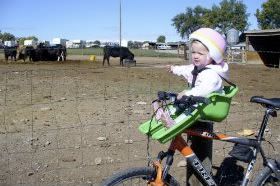 iBert child bike seat farm