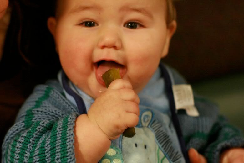 fat babies eating. aby eating pickle