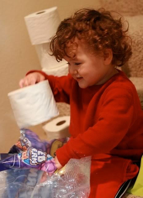 toddler emptying toilet paper rolls