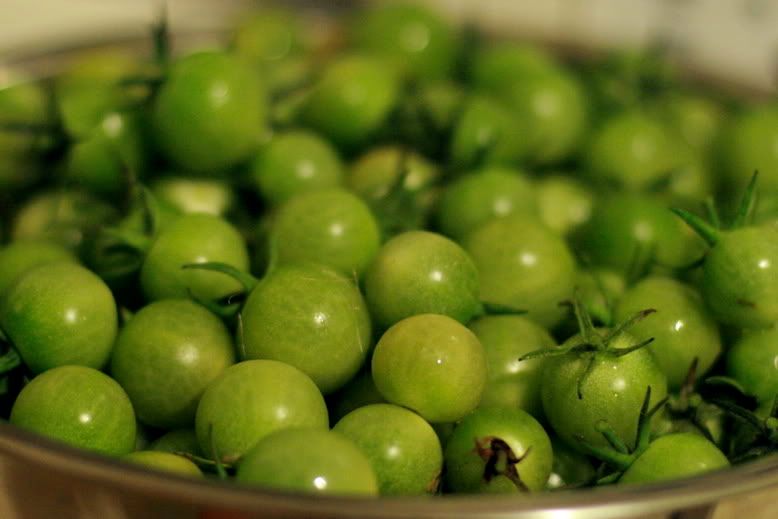 green tomatoes