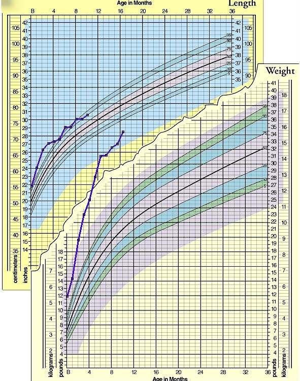 10 Month Old Baby Weight Chart