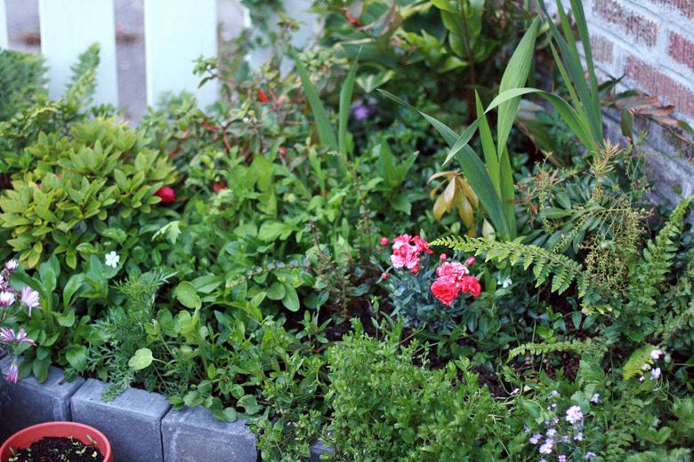 slab concrete patio garden with flowers and veggies