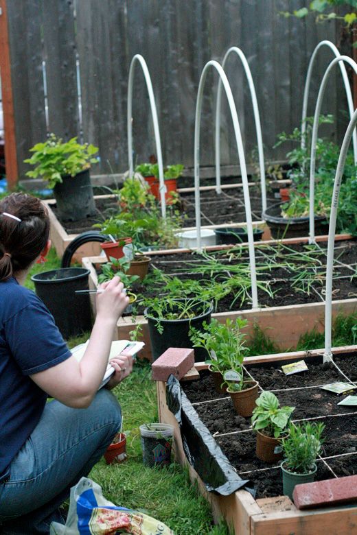 planning a square foot garden in the raised beds