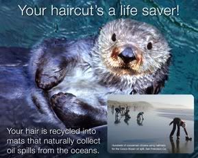 Hair for Oil Spills Matter of Trust poster with sea otter