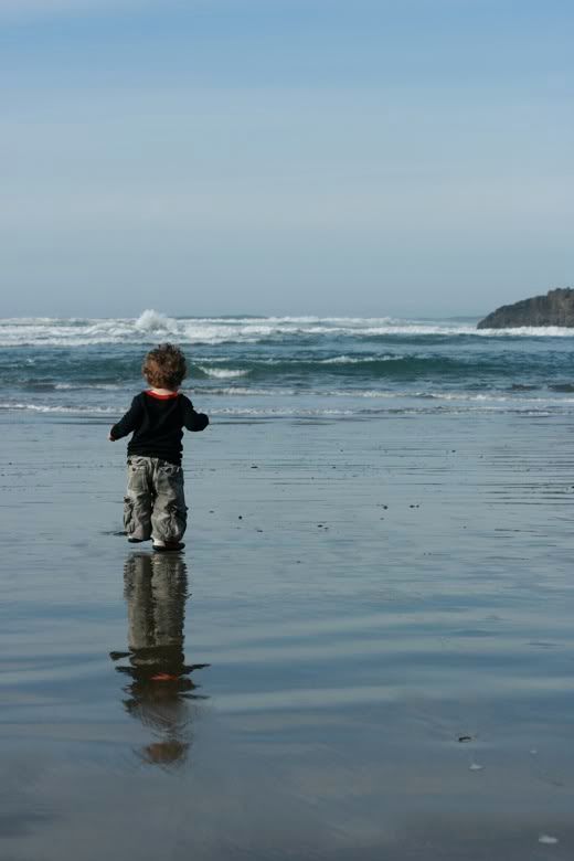 toddler walking on a wet beach toward the ocean for June Carnival of Natural Parenting -- Outdoor fun