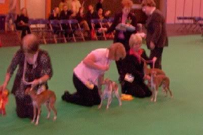 bethcrufts.jpg