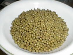 kacang hijau 01