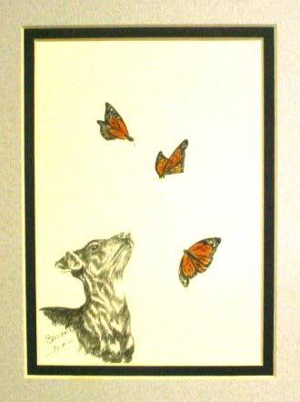 I did it! - Countryside Families