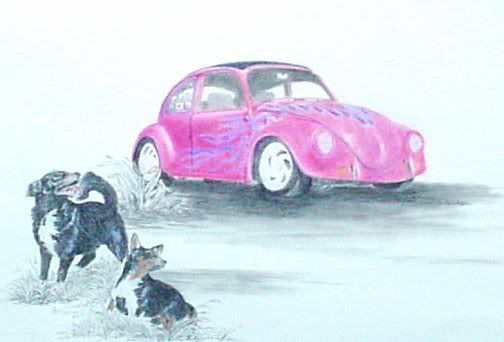 A thread on VW's. What do you guys think? - Homesteading Questions